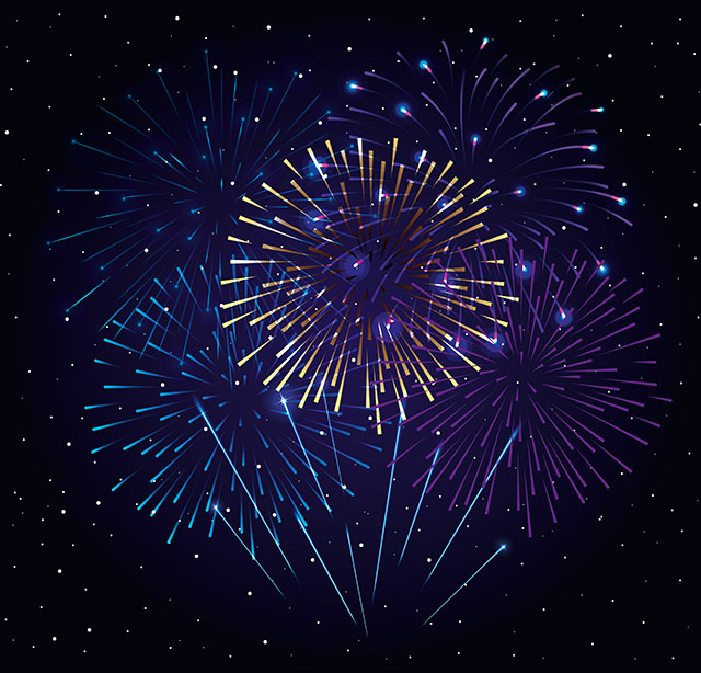 $20 Donation – Annual Fireworks Display | TBVPOA